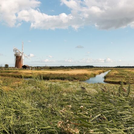 Windmill - Norfolk green space