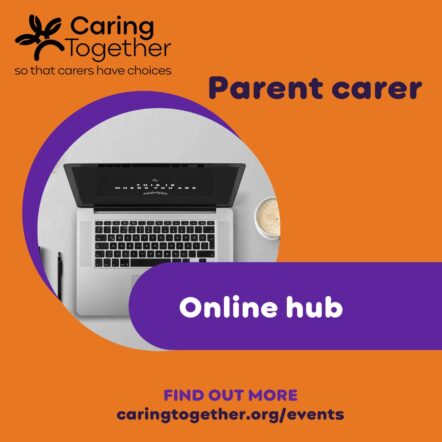 parent carer online hub