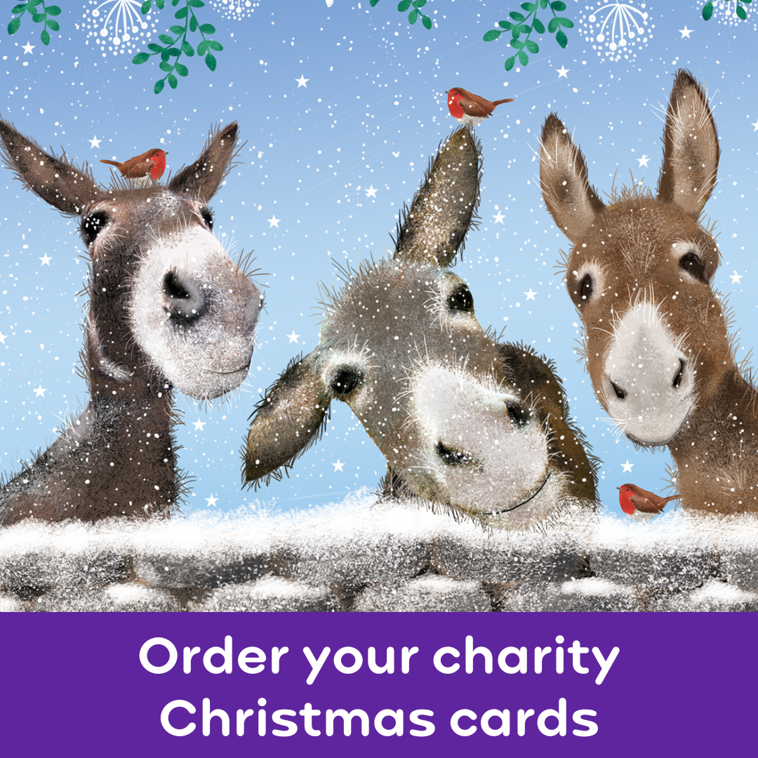 Order your charity Christmas cards