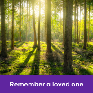 Remember a loved one
