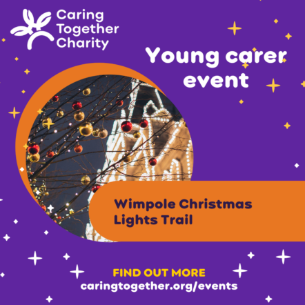 Wimpole Christmas Lights Trail